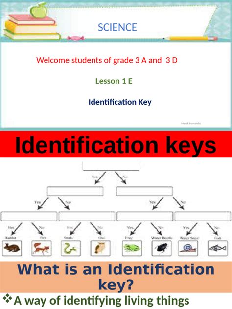 Image result for Identification key Tutorial