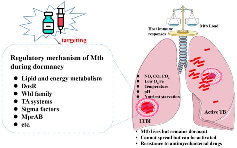 Gene Regulatory Mechanism of Mycobacterium Tuberculosis during Dormancy