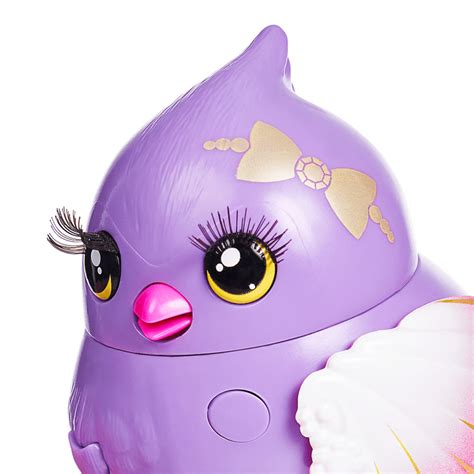 Buy Little Live Pets - Lil' Bird & Bird House: Pretty Posh Online at ...