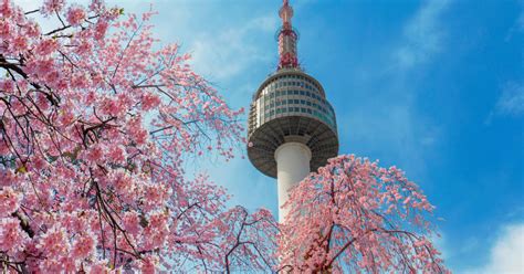 12,293 Cheap Flights to Seoul - KAYAK