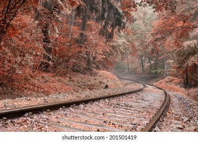Image result for Rail Texture