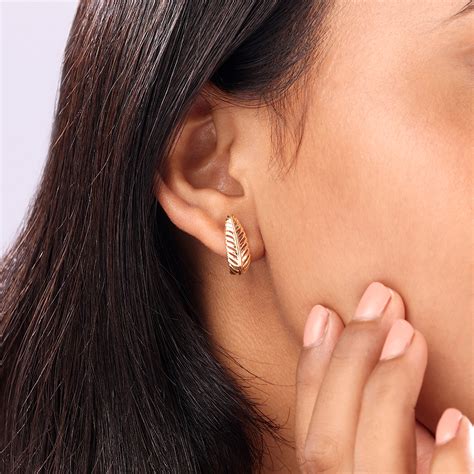 Timeless 14K Yellow Gold Feather Hoop Earrings