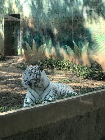 Leo Foo Village Theme Park (Guanxi) - 2020 What to Know Before You Go ...