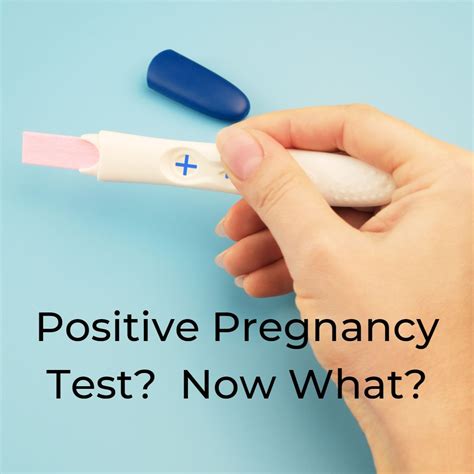 Will Plan B Cause A Positive Pregnancy Test at Rose Thyer blog