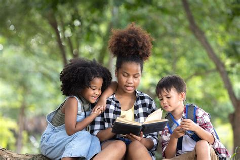 Image result for Literacy Course