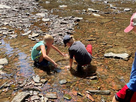 Meaningful Watershed Educational Experience — Perkiomen Watershed ...