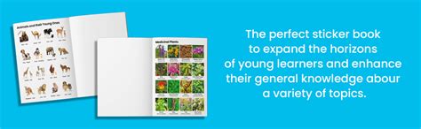 Peel & Paste - Pictorial Sticker Book For School Projects - Book 1 ...