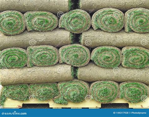Rolls of Grass Lawn Turf Stacks Stacked on Wooden Pallet Tray Stock ...
