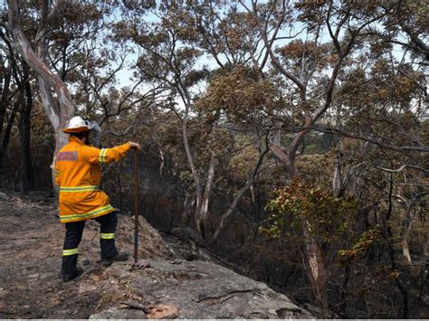 Glacier Meltdown Antarctica - Brazil's Forest Fires, Delhi's Smog: A ...