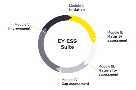 Sustainability reporting and assurance services | EY - India