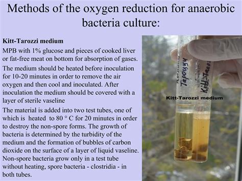 Bacteriological method — Anaerobic bacteria.pdf