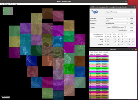 Spatial Transcriptome Mouse Embryo Development 的图像结果