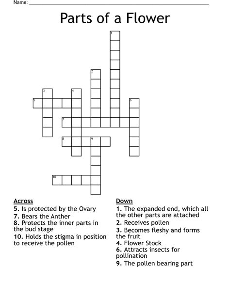 Part Of A Flower Crossword Clue - Home Alqu