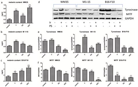 Inhibition of Survival Mechanisms and Cell Death Induction in Melanoma ...