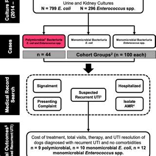 Image result for Retrospective Data Collection Study Protocol