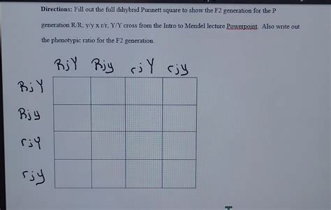 Dihybrid Punnett Square