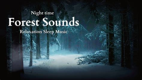 Image result for Relaxing Tree Sounds