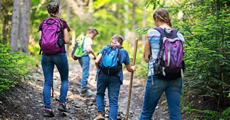 Exercise Activities 的图像结果