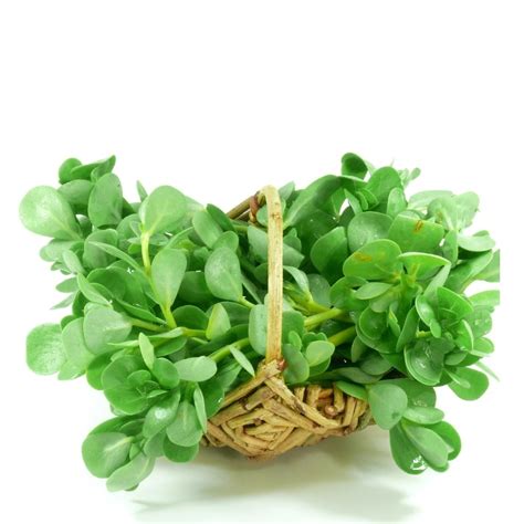 Noniya Saag or Kulfa Ki Bhaji Seeds - 5g (नोनिया साग/कुल्फा की भाजी)