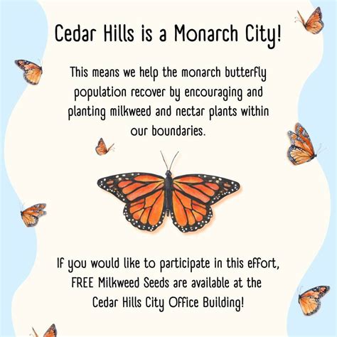 Live Feed | City of Cedar Hills