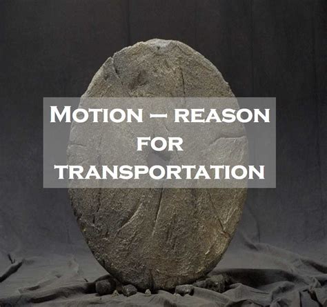 Image result for Class 9 Science Motion