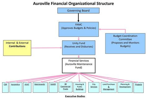 Auroville Financial Organizational Structure