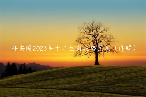 祥安阁2023年十二生肖运势预测（详解）