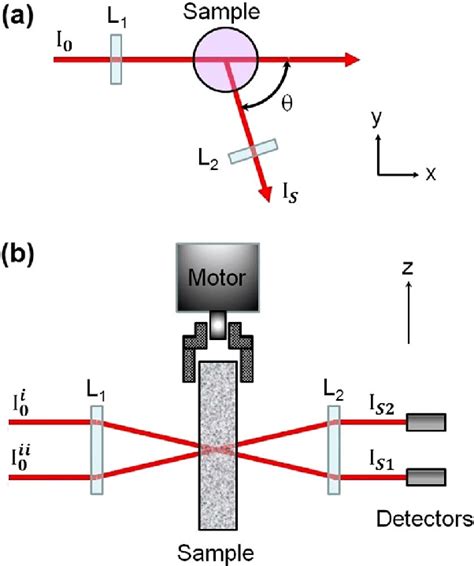 Image result for Dynamic Light Scattering Correlation Function