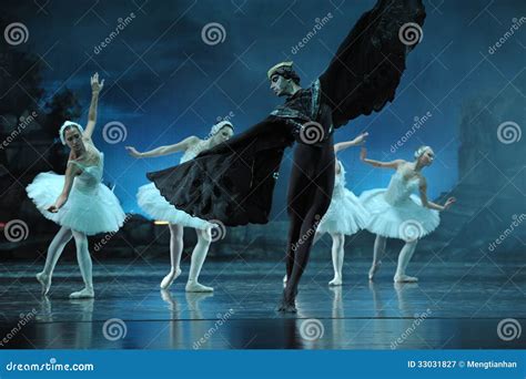 Black Swan editorial photography. Image of exquisite - 33031827