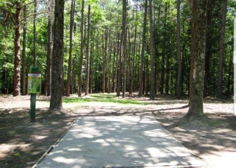 Image result for Disc Golf Tutorials