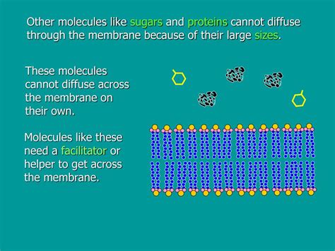 Diffusion 的图像结果