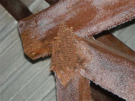 Forensic Engineer 的图像结果