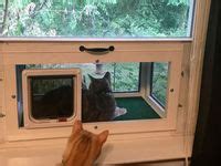 Image result for Best Cat Window Boxes
