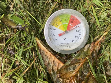 Image result for How to Compost Fast