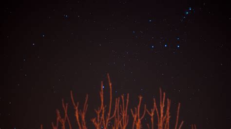 Download wallpaper 2048x1152 starry sky, stars, branches, night, night ...