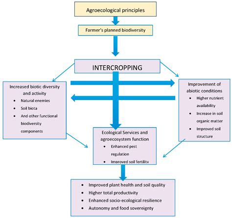 Technological Approaches to Sustainable Agriculture at a Crossroads: An ...