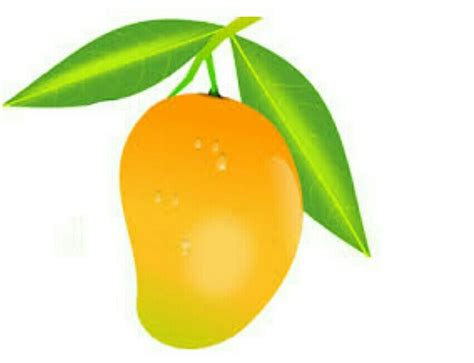 Bharat ka Rashtriya fal konsa hai - Brainly.in