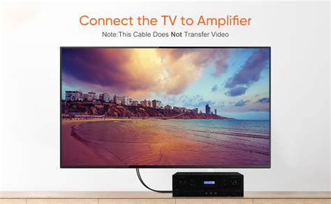 CableCreation RCA Cable, 10FT 2RCA Male to 2RCA Stereo Audio Cable Gold ...