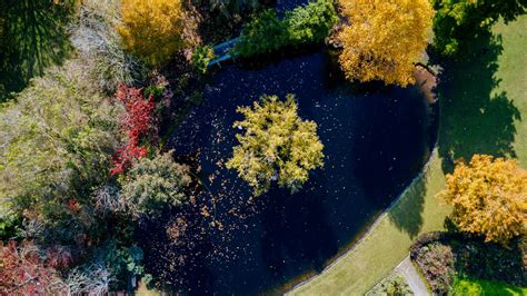 Hotels in Dandenong from ₹ 5,677 - Find Cheap Hotels with momondo