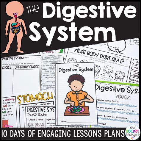 Image result for Digestive System Fun Activities