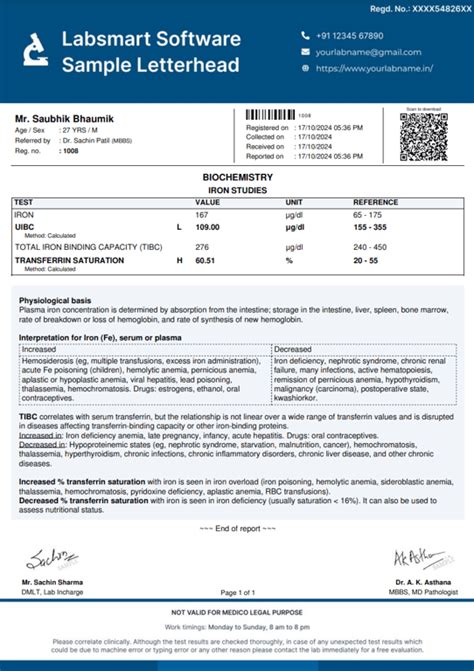 Iron Studies Report Format | MS Word & Pdf