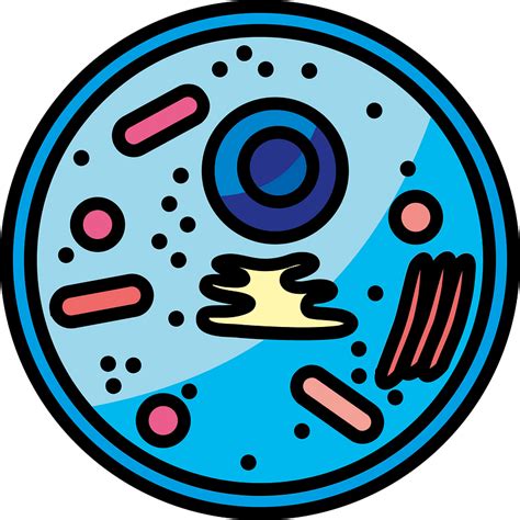 Animal cell - Free vector clipart images on creazilla.com