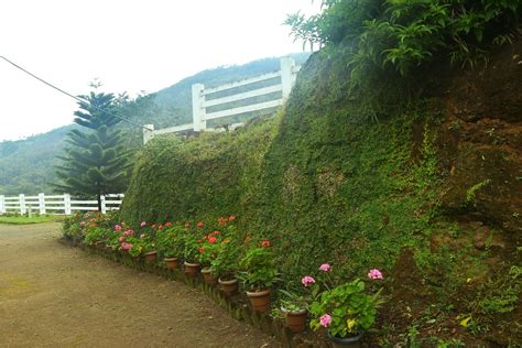MOUNTAIN VIEW PARADISE (Nedumkandam) - Resort Reviews, Photos, Rate ...