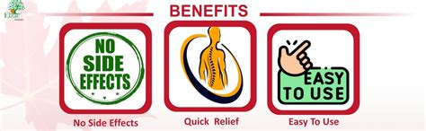 Elzac Herbals Orthozac Gold Ayurvedic Pain relief oil 60ml - Ayurvedic ...