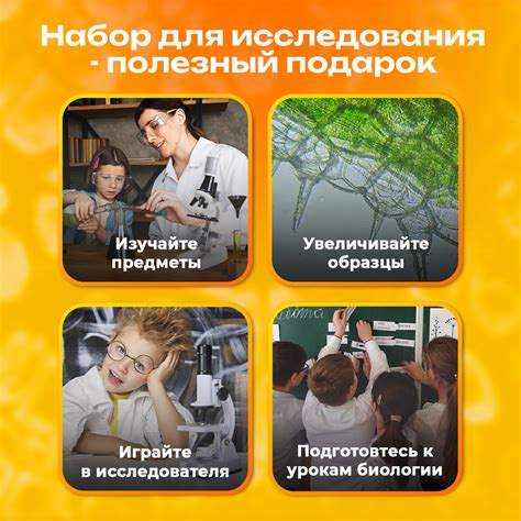 Микроскоп детский ORGANIC BRAND большой набор с образцами купить по ...
