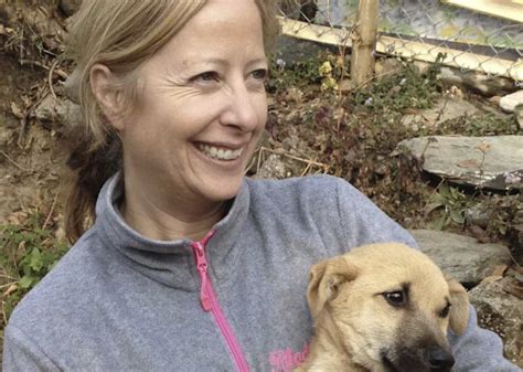 Top Animal Rescue & Welfare NGOs in India | Dogsee