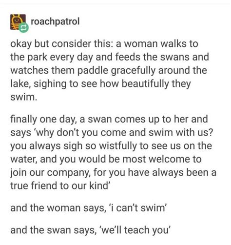 Animal Bride 的图像结果