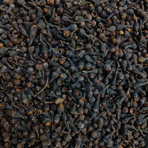 MESUA FERREA - NAGKESAR – DAKSHA DRY FRUITS