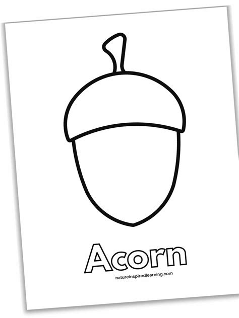 Acorns Coloring Pages