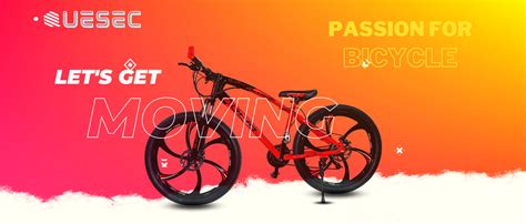 Buy QUESEC Bikes Python Series High-Performance 6 Spoke Solid Bicycle ...